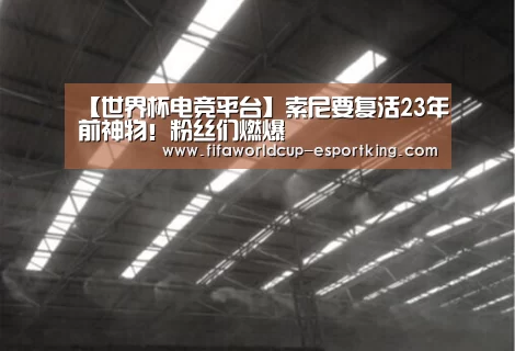 世界杯足球赛事