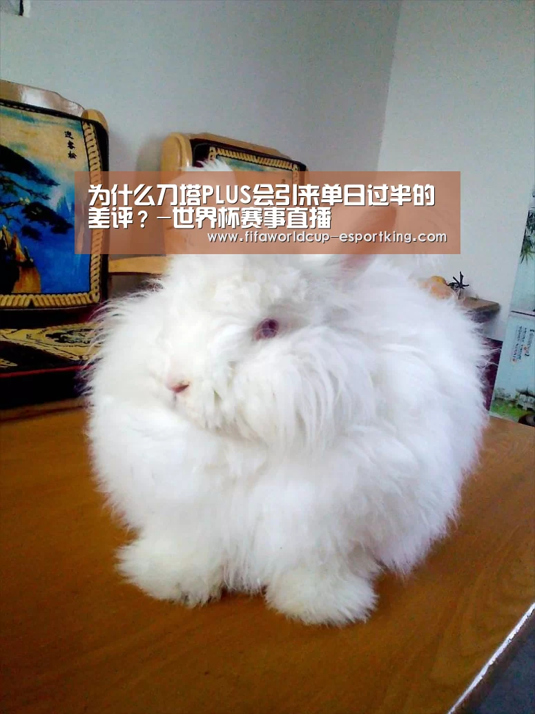 为什么刀塔PLUS会引来单日过半的差评?-世界杯赛事直播(图1) 世界杯实时比分