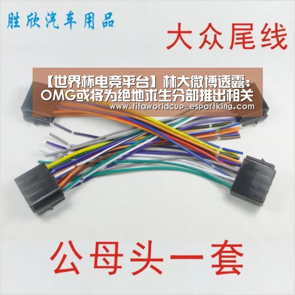 【世界杯电竞平台】林大微博透露:OMG或将为绝地求生分部推出相关动漫(图1) 世界杯电竞平台