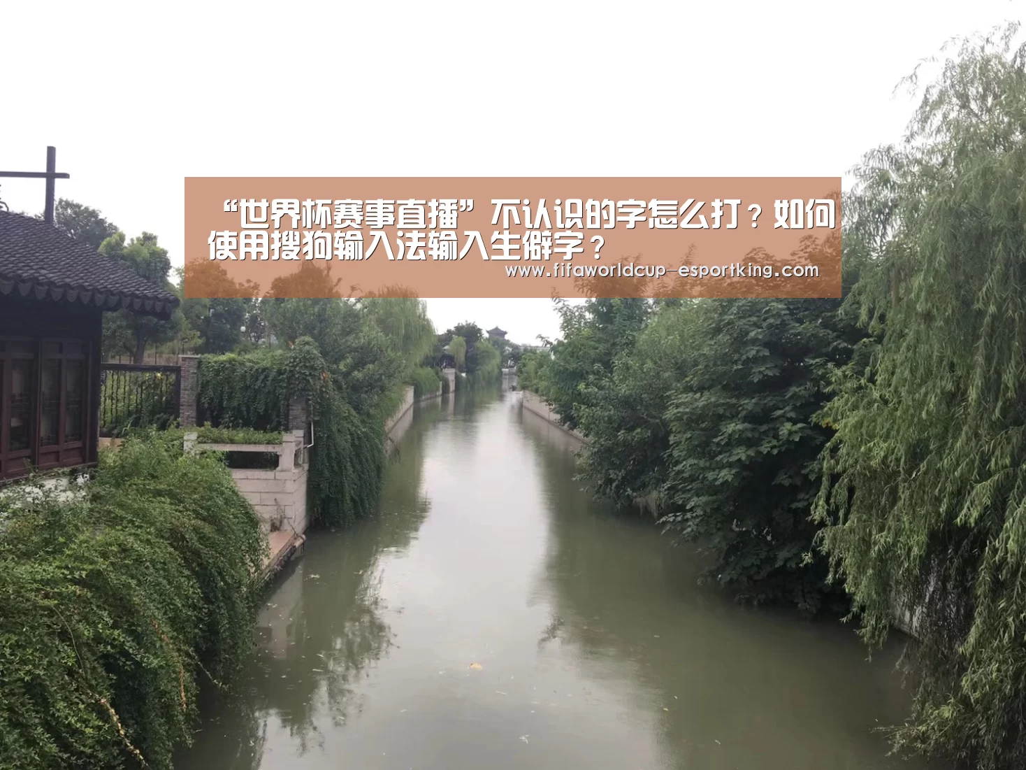“世界杯赛事直播”不认识的字怎么打?如何使用搜狗输入法输入生僻字?(图1) 世界杯实时比分