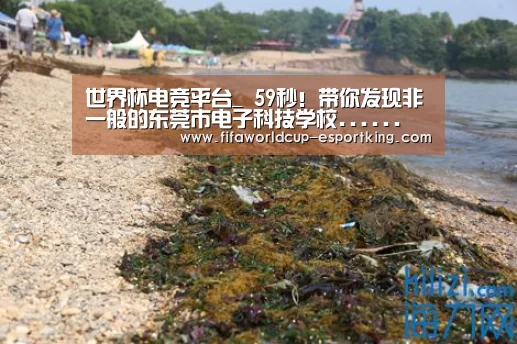 世界杯电竞平台_
59秒!带你发现非一般的东莞市电子科技学校......(图3) 世界杯实时比分