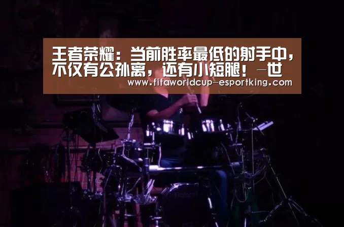 王者荣耀:当前胜率最低的射手中,不仅有公孙离,还有小短腿!-世界杯赛事直播(图2) 世界杯足球赛事