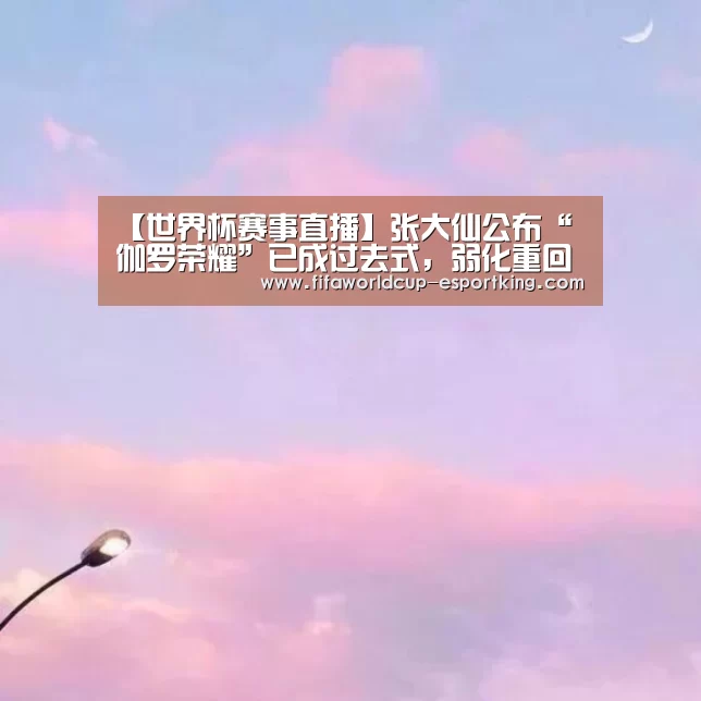 世界杯足球赛事
