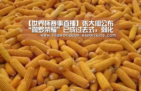 世界杯赛事直播