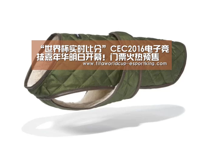 “世界杯实时比分”CEC2016电子竞技嘉年华明日开幕!门票火热预售(图4) 世界杯赛事直播