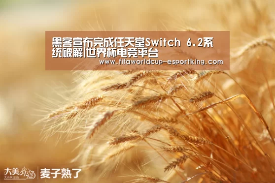 黑客宣布完成任天堂Switch 6.2系统破解|世界杯电竞平台(图2) 世界杯赛事直播