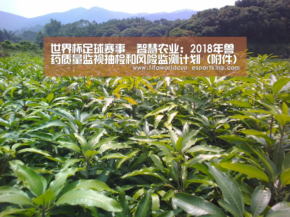 世界杯电竞平台